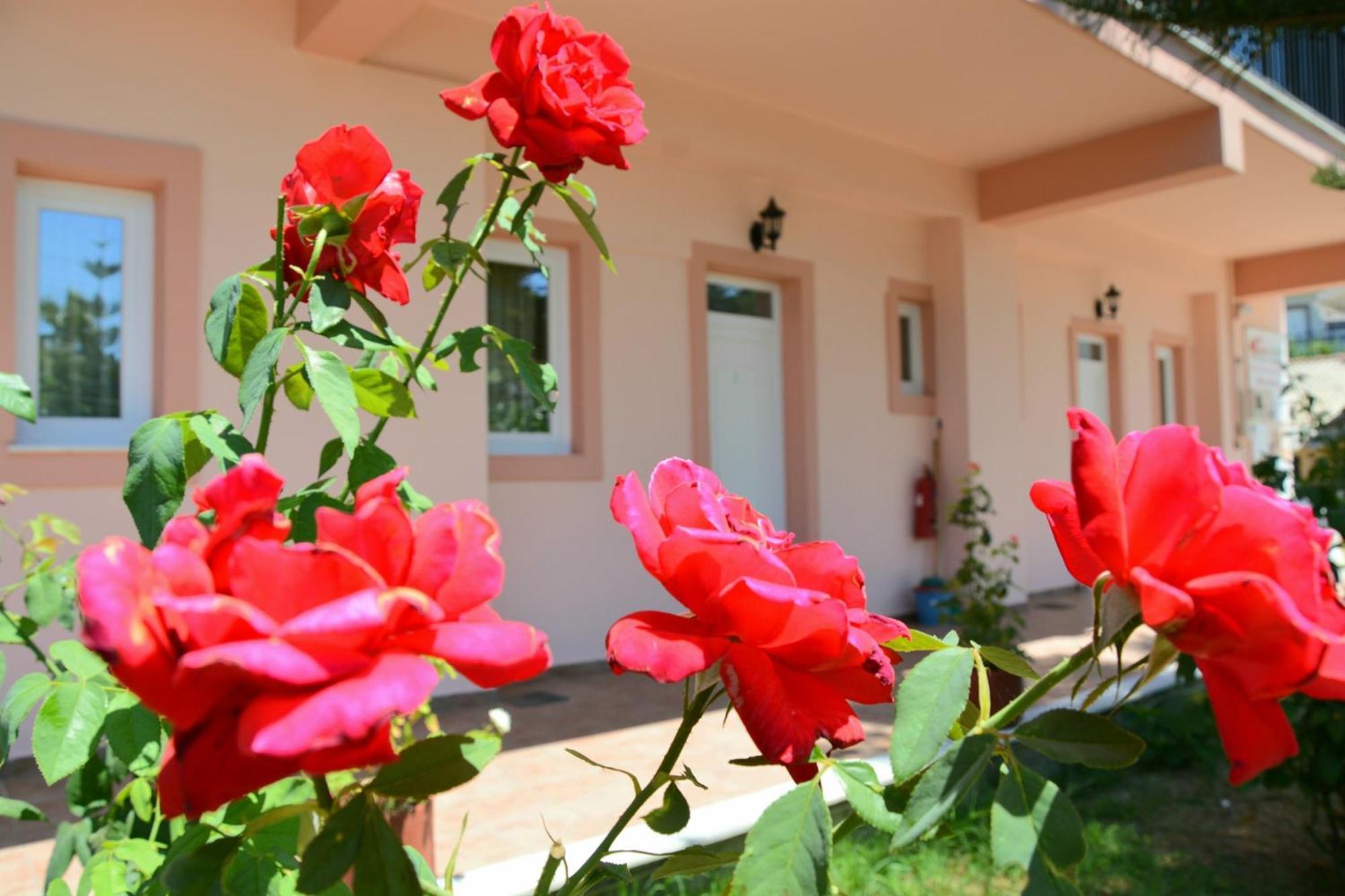 شقة Red Rose Garden تسيليفي المظهر الخارجي الصورة