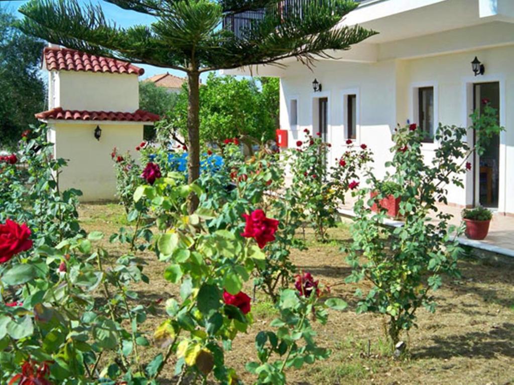 شقة Red Rose Garden تسيليفي المظهر الخارجي الصورة